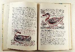 Birds from the Magic Mountain - 5